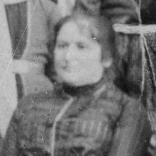 Portrait of Peri Topchubashova