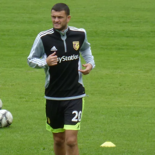 Portrait of Igor Miović