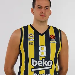 Portrait of Nemanja Bjelica