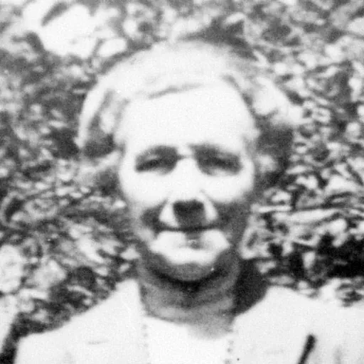 Portrait of Noeline Baker