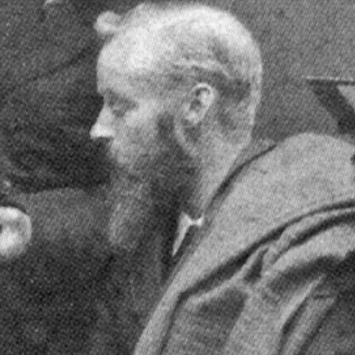 Portrait of Heinrich Petersen-Angeln