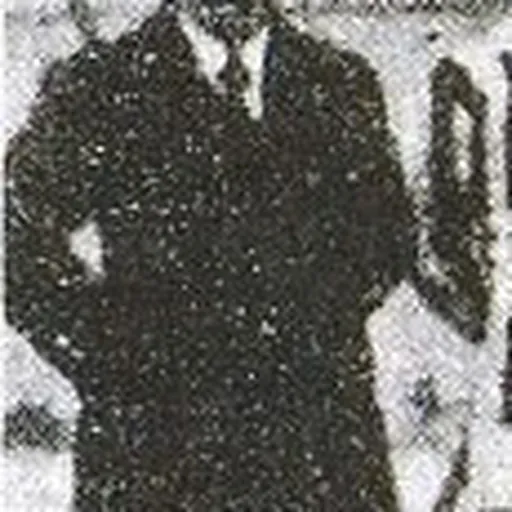 Portrait of Jenő Károly