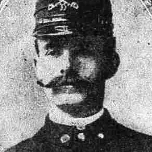 Portrait of Paul H. Weinert