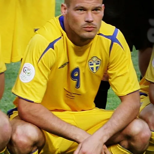 Portrait of Freddie Ljungberg