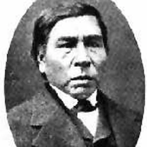 Portrait of Enmegahbowh