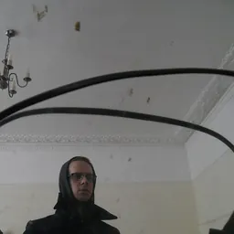 Portrait of Birdengine