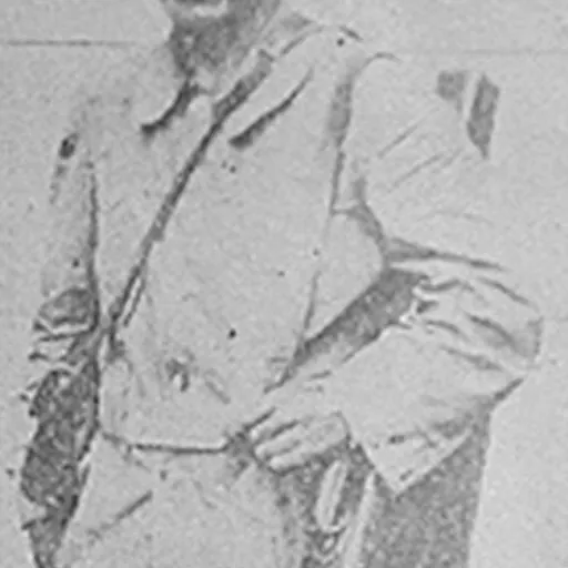 Portrait of Yoneraro Kikuchi