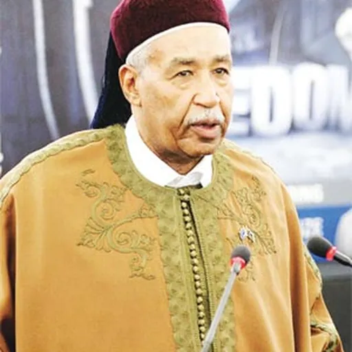 Portrait of Ahmed al-Senussi