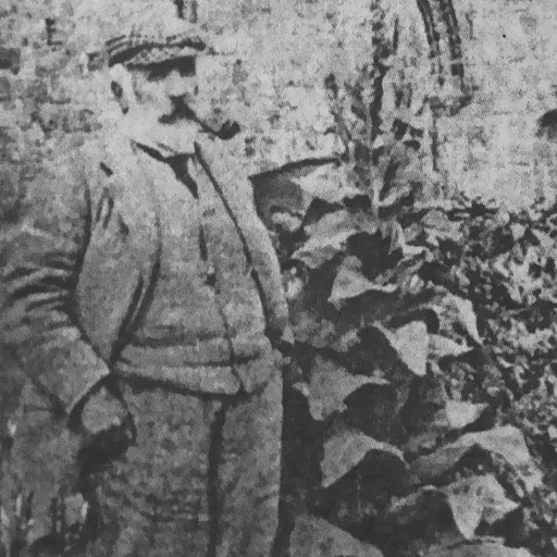 Portrait of William Logan