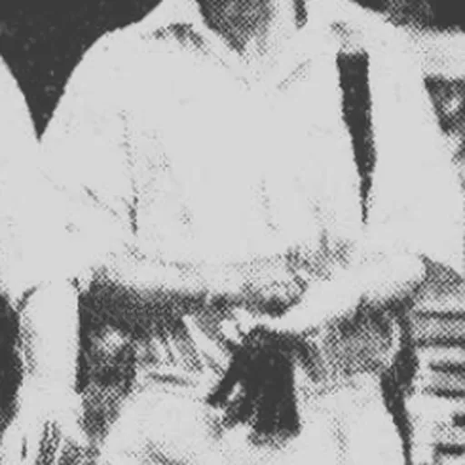 Portrait of Ivan Miller