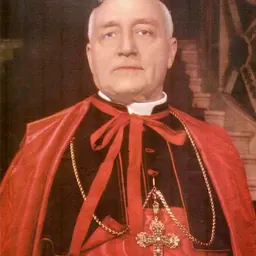 Portrait of Benedetto Aloisi Masella