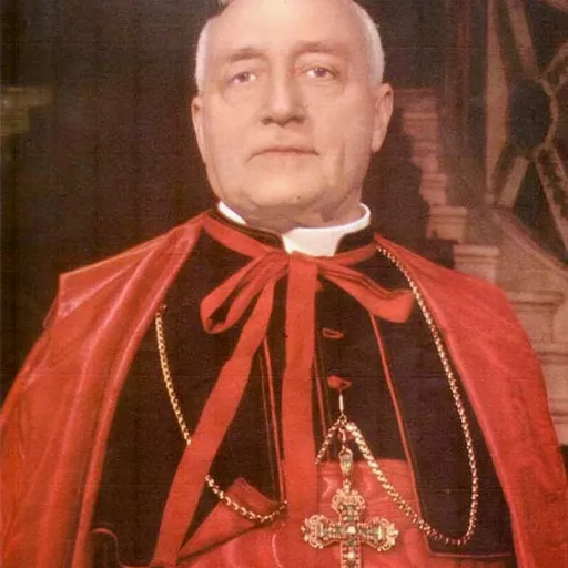 Portrait of Benedetto Aloisi Masella