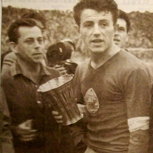 Portrait of Mircea Petescu