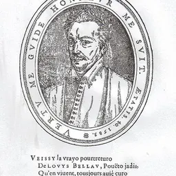 Portrait of Louis Bellaud de la Bellaudière