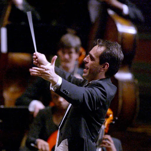 Portrait of Dino Zonić