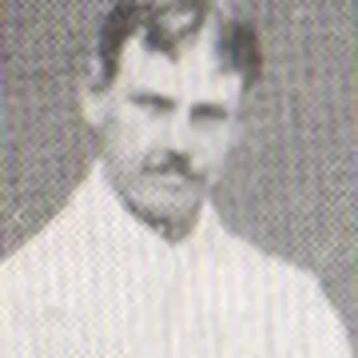 Portrait of Count Gedney