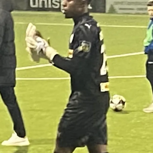 Portrait of David Odumosu