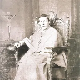 Portrait of Marcelo Spinola y Maestre