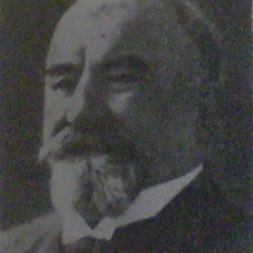 Portrait of Nicolás Mihanovich