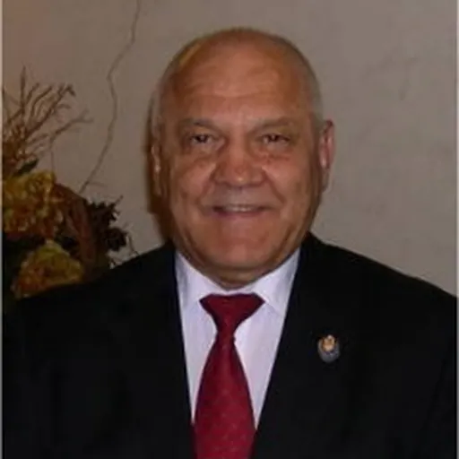 Portrait of Mircea Grosaru