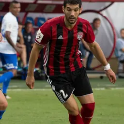 Portrait of Aleksandar Miljković