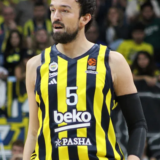 Portrait of Sertaç Şanlı