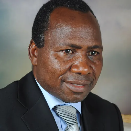 Portrait of Dalaly Kafumu