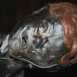 Portrait of Grauballe Man