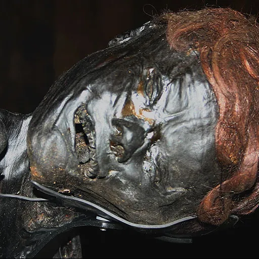 Portrait of Grauballe Man