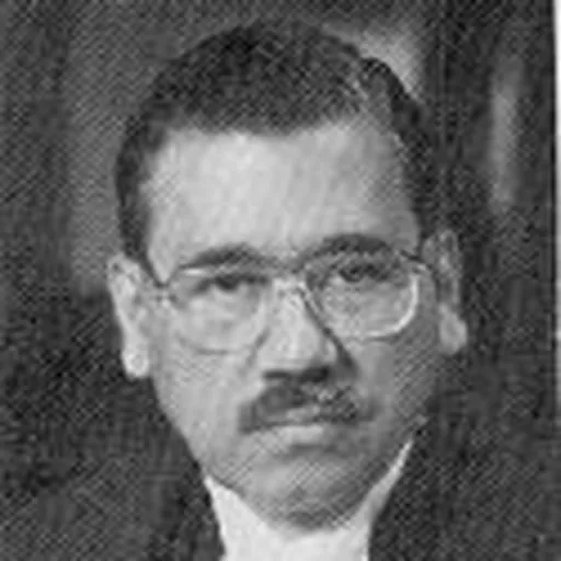 Portrait of Aziz Mushabber Ahmadi