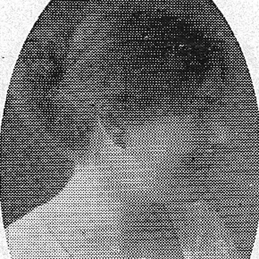 Portrait of Agnes Arvidsson