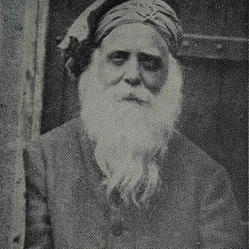 Portrait of Akali Kaur Singh Nihang