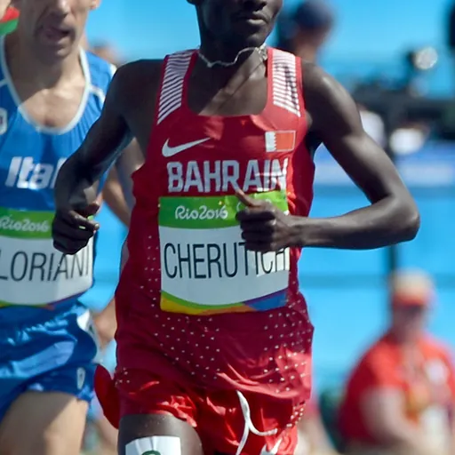 Portrait of Nelson Cherutich