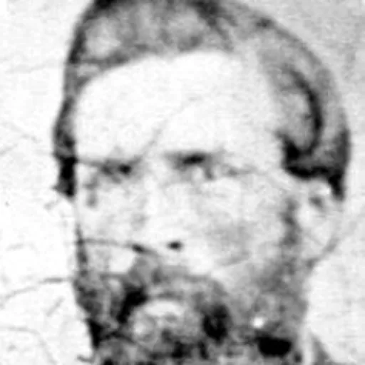 Portrait of John Shilling
