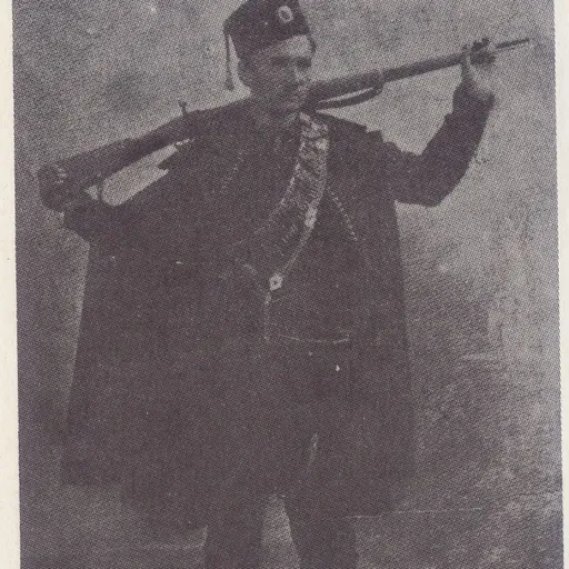 Portrait of Dragiša Stojadinović