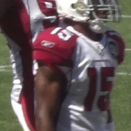 Portrait of Steve Breaston