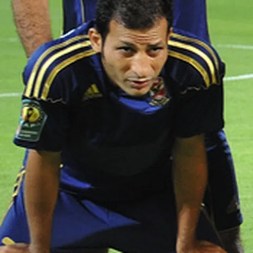 Portrait of Sayed Moawad