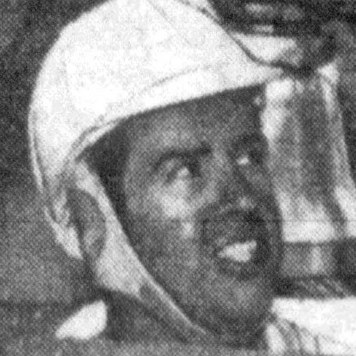 Portrait of Bill Holland