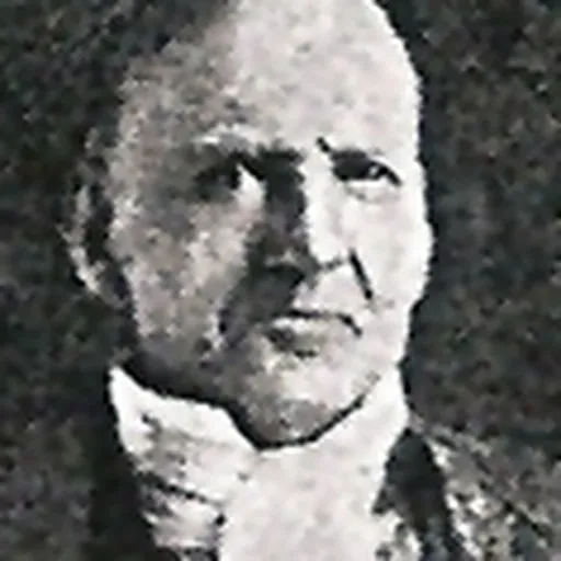 Portrait of James McSherry