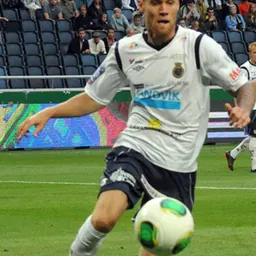Portrait of David Fällman