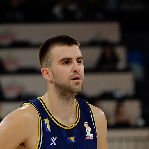 Portrait of Vojin Ilic