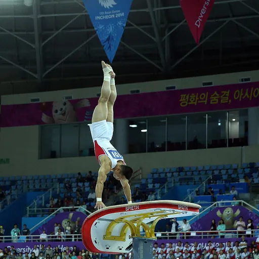 Portrait of Ri Se-Gwang