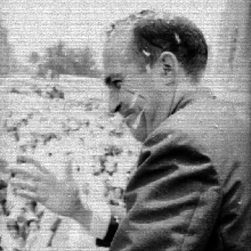 Portrait of José González Torres