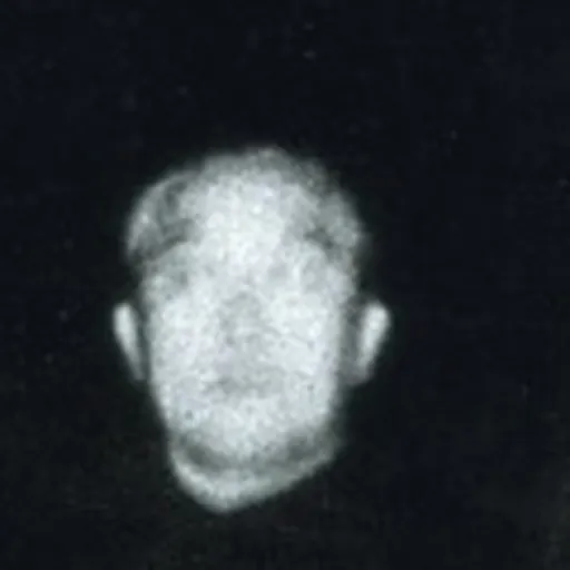 Portrait of Cao Diqiu