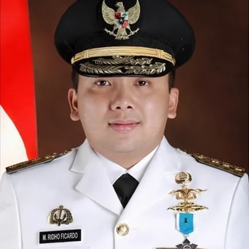 Portrait of Muhammad Ridho Ficardo