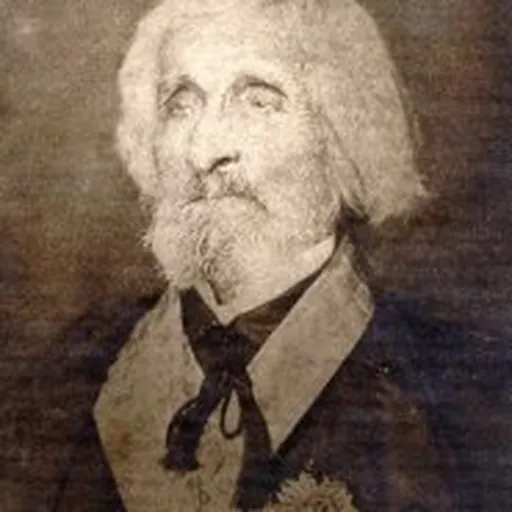 Portrait of Antônio Pinto Chichorro da Gama