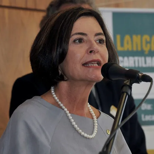 Portrait of Ana Arraes