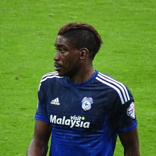 Portrait of Sammy Ameobi