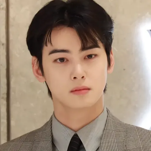 Portrait of Cha Eun-woo