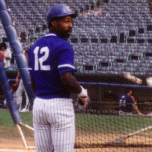 Portrait of Shawon Dunston